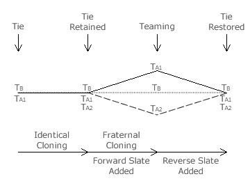 Effect of Cloning