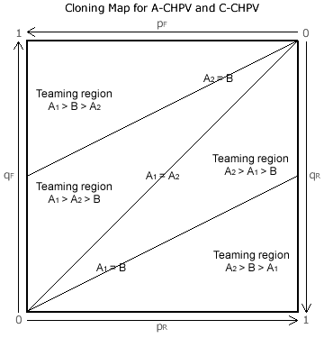 Cloning map for Anti-CHPV