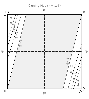 r = 1/4 map