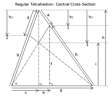 Central Cross-Section